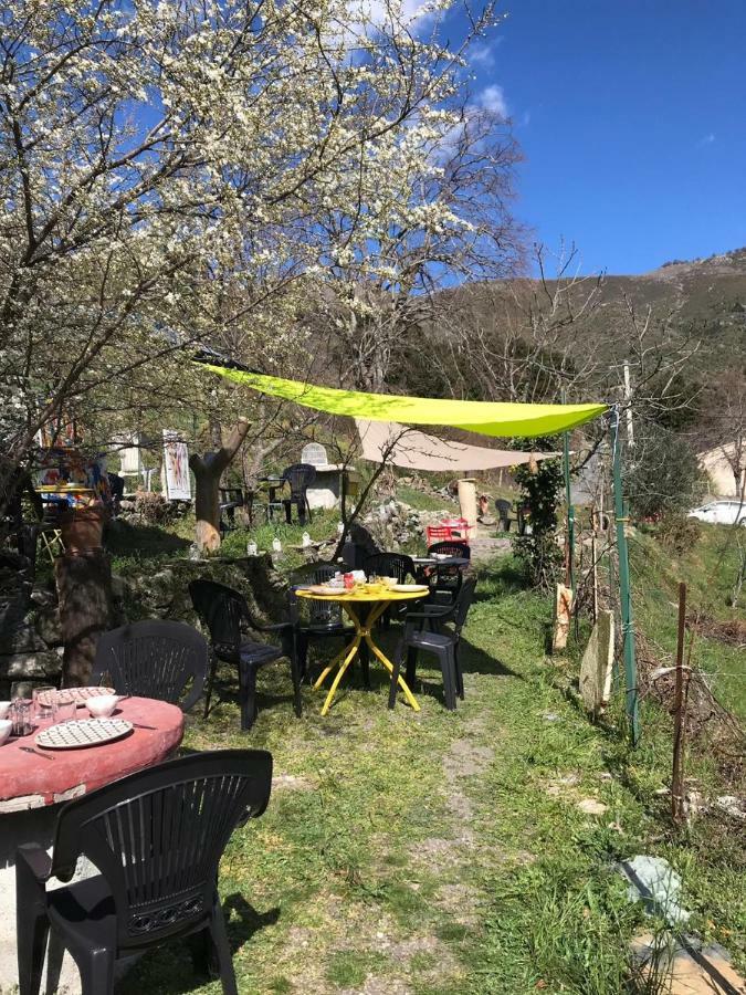 Camping L'Agrottu Au Coeur De La Corse Santa-Lucia-di-Mercurio Exterior foto