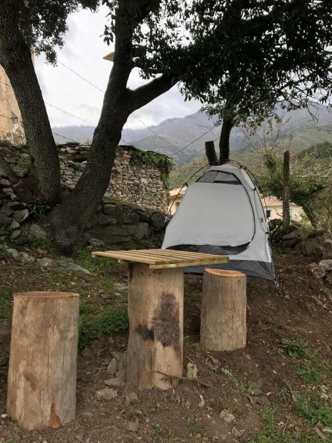 Camping L'Agrottu Au Coeur De La Corse Santa-Lucia-di-Mercurio Exterior foto